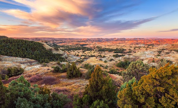 Theodore Roosevelt National Park grounds