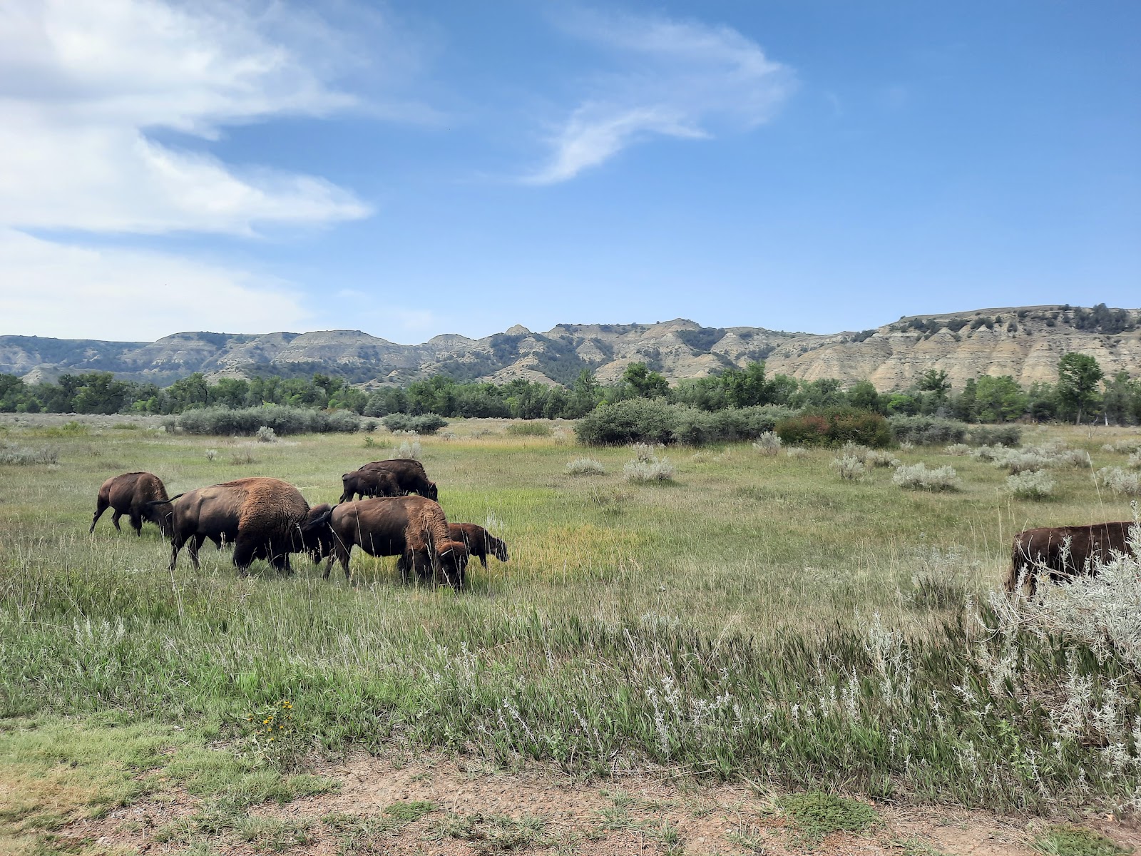 Theodore Roosevelt National Park cemetery grounds and headstones