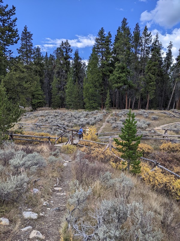 Tincup Cemetery grounds