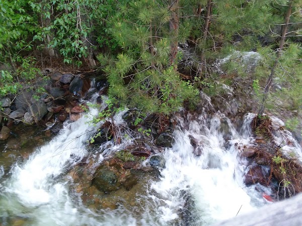 Tom Green Memorial Park grounds