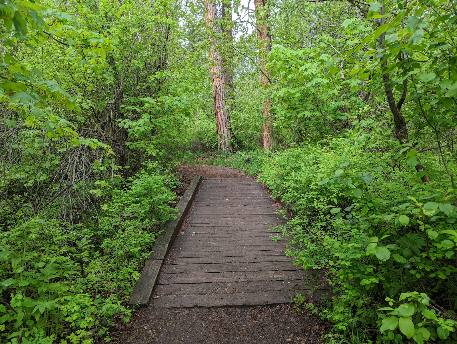 Tom Green Memorial Park