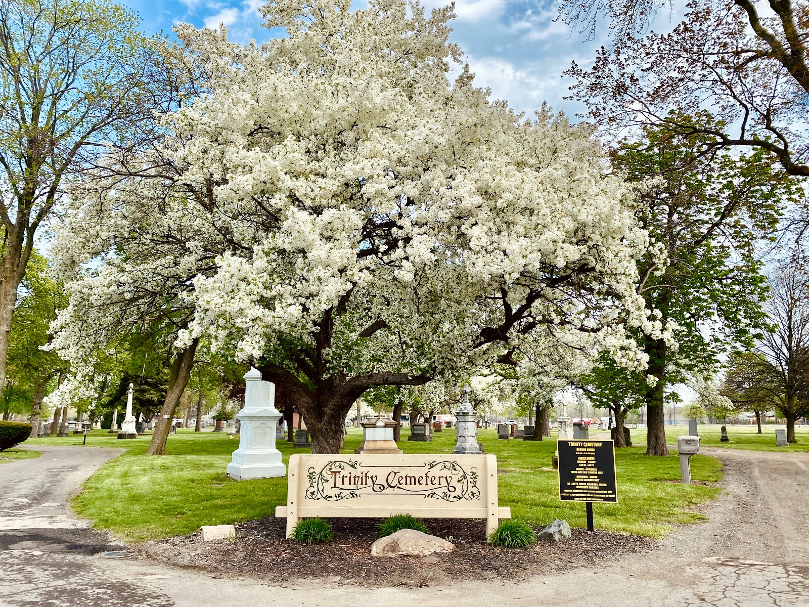 Trinity Cemetery cemetery grounds and headstones