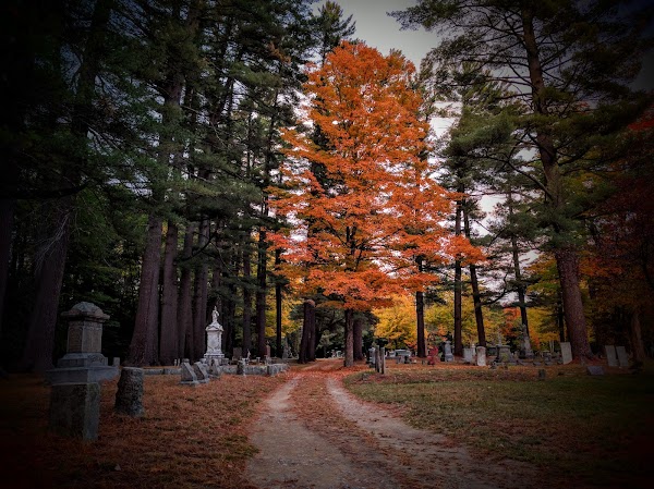 Trinity Churchyard Cemetery grounds