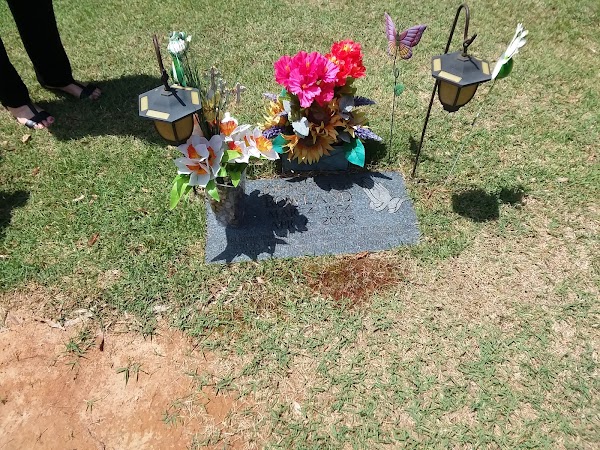 Tupelo Memorial Park grounds