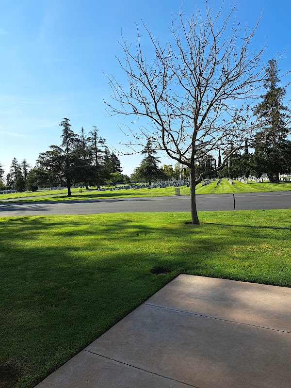 Turlock Memorial Park grounds