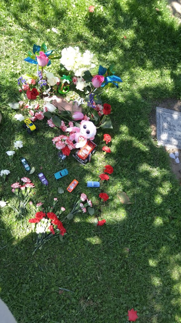 Turlock Memorial Park grounds