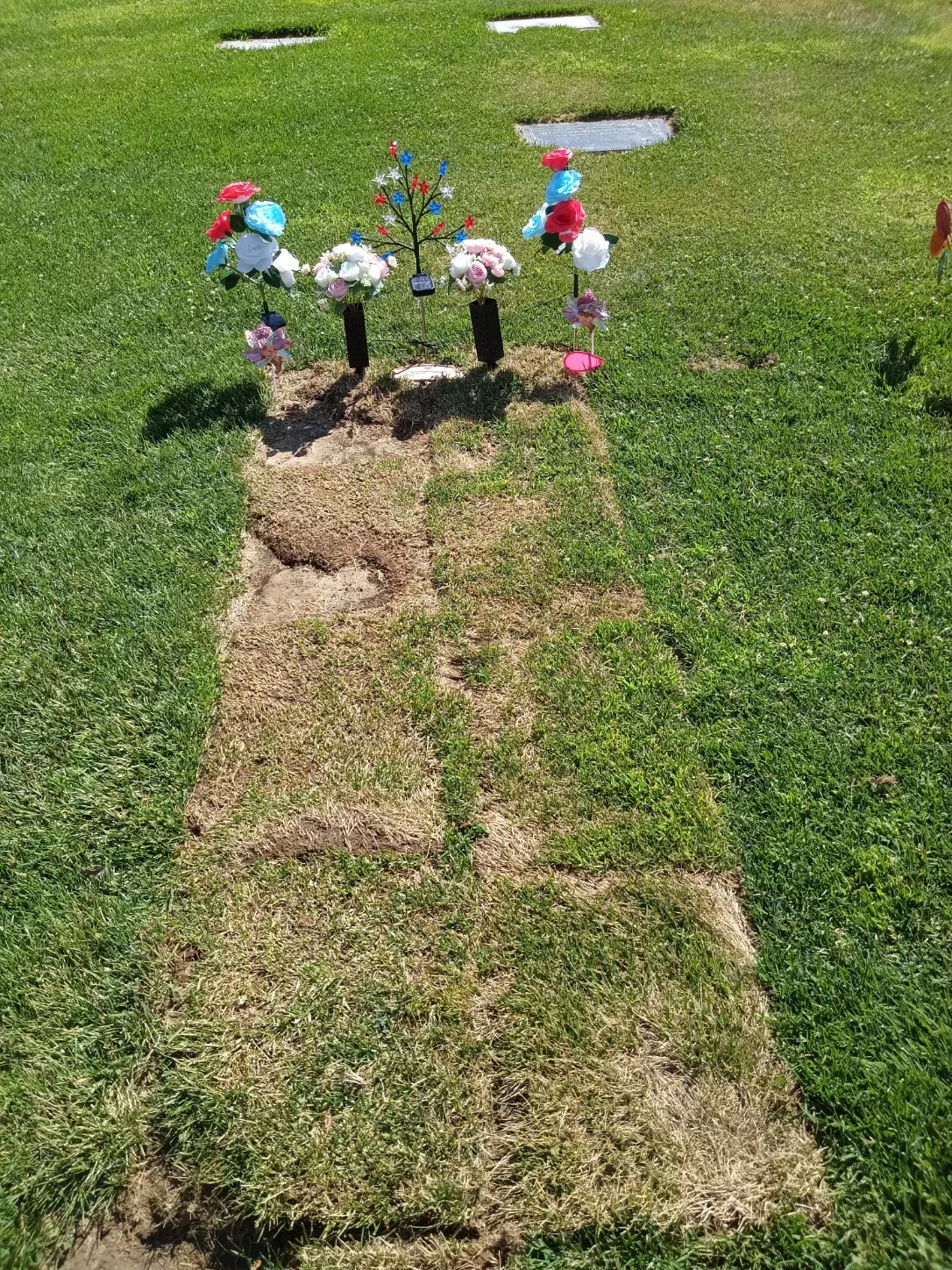 Turlock Memorial Park cemetery grounds and headstones