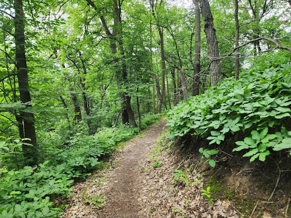 Turtle River State Park grounds