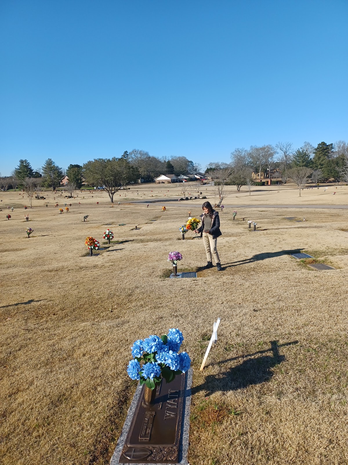 Tuscaloosa Memorial Park cemetery grounds and headstones