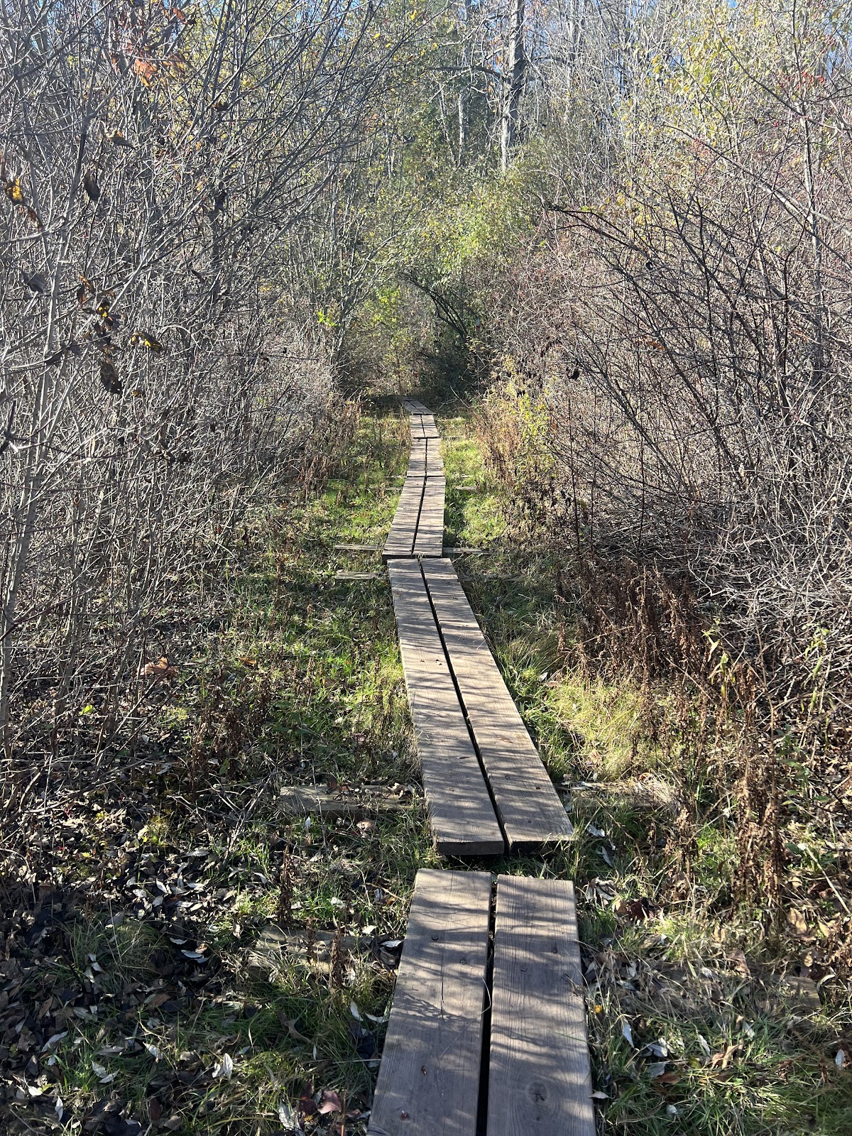 Tynan Memorial Park cemetery grounds and headstones