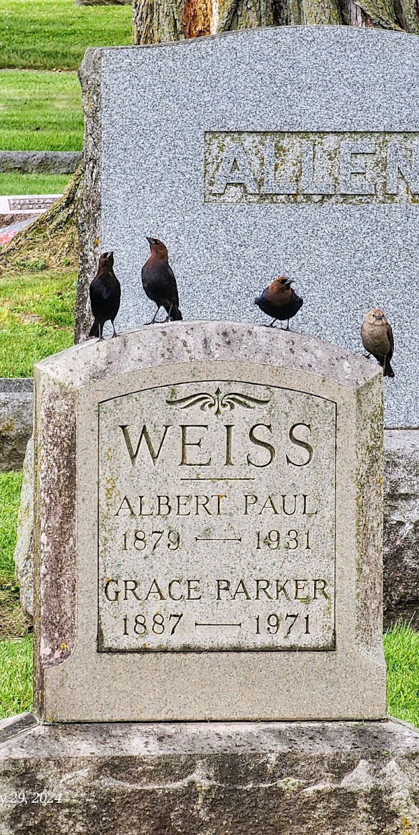 Union Cemetery Association grounds