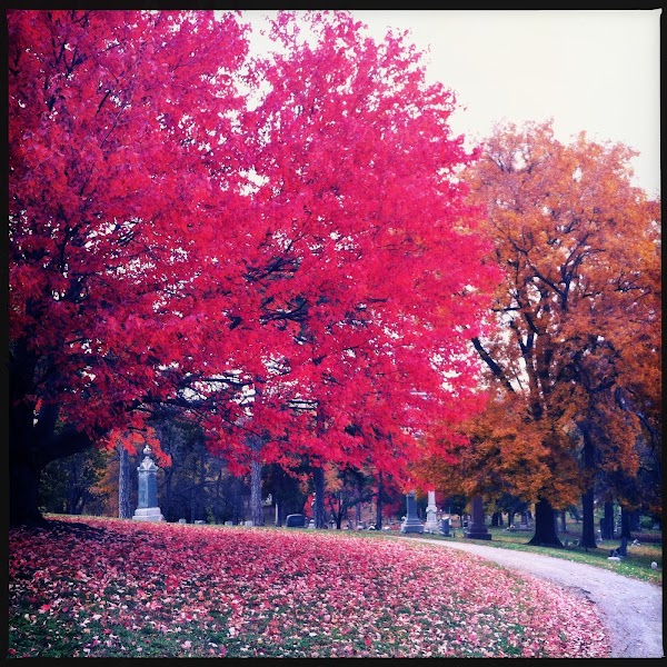 Union Cemetery grounds