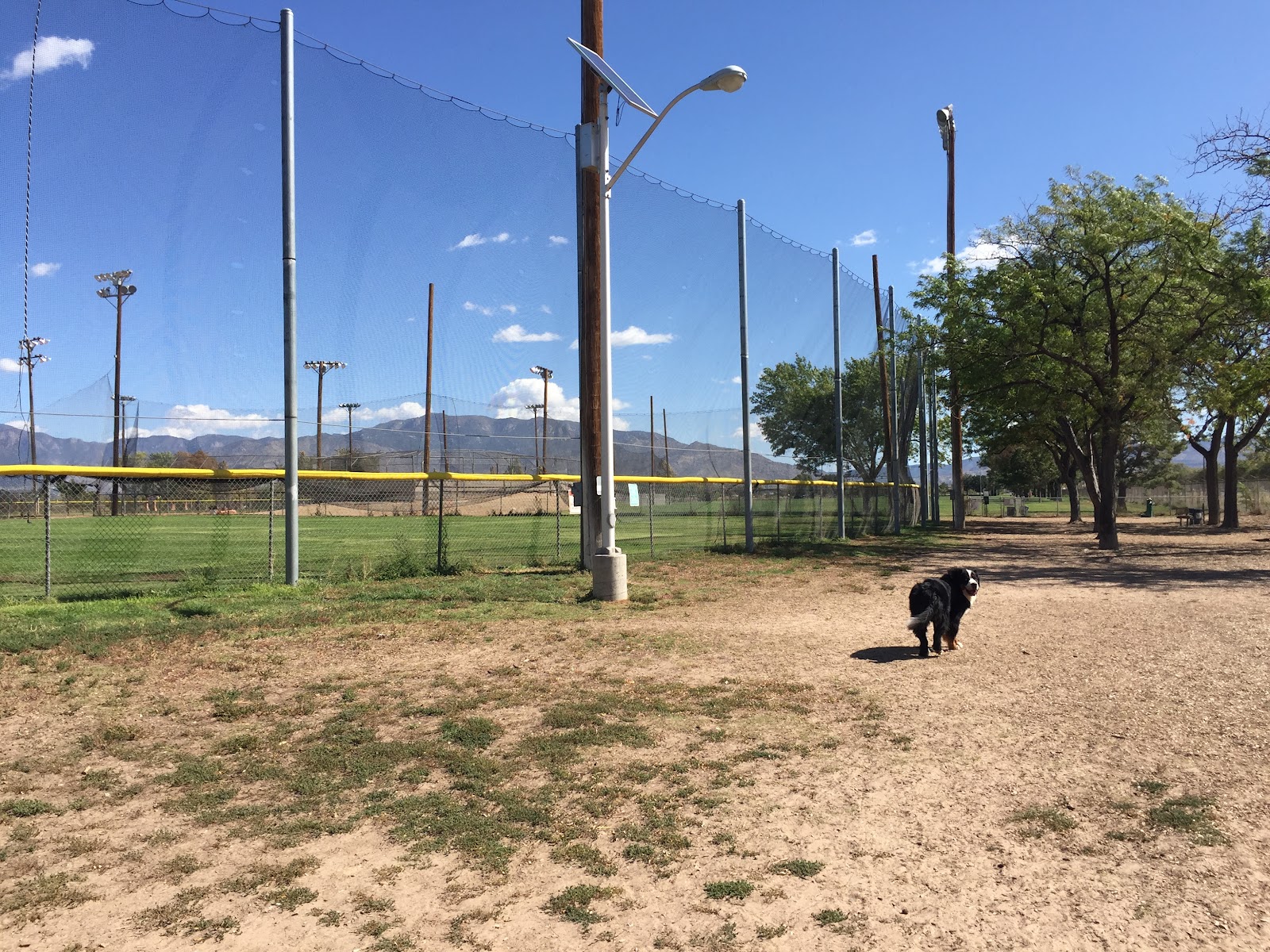 USS Bullhead Memorial Park cemetery grounds and headstones