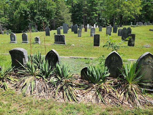 Vale End Cemetery grounds