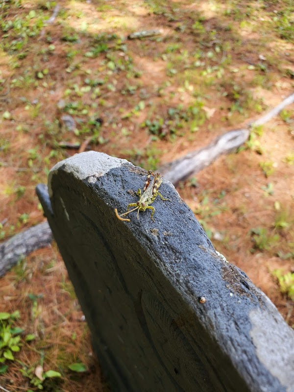 Vale End Cemetery grounds