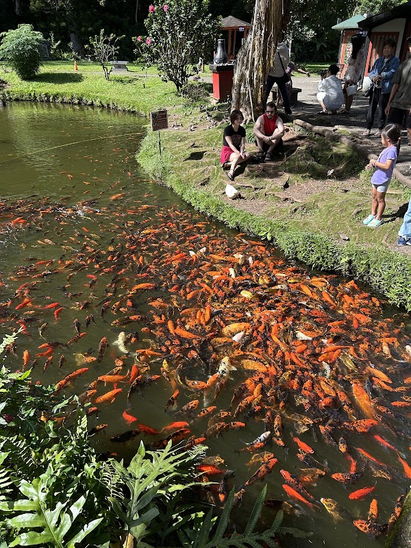 Valley of the Temples Memorial Park, Cemetery, Cremation, Funeral grounds