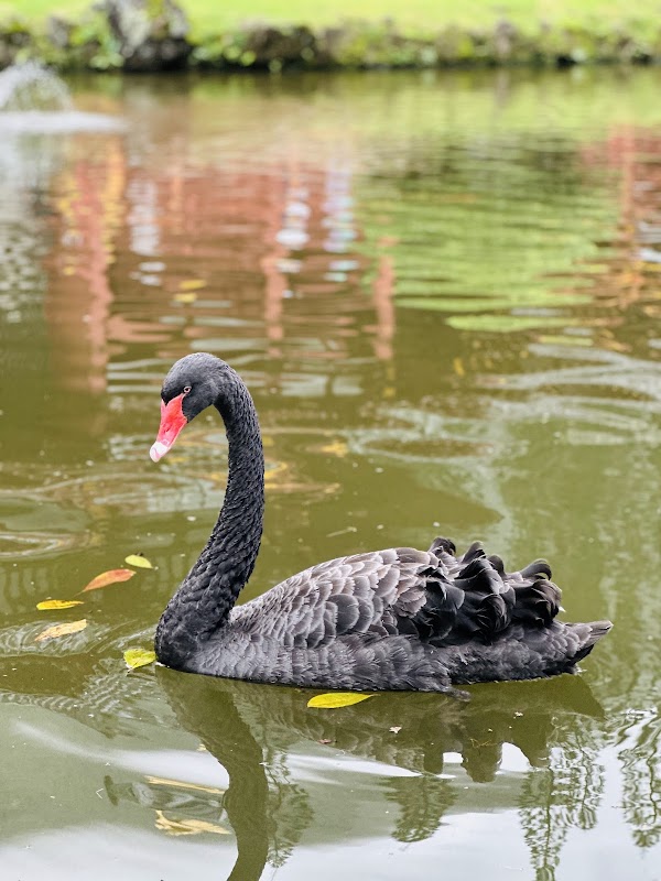 Valley of the Temples Memorial Park, Cemetery, Cremation, Funeral grounds