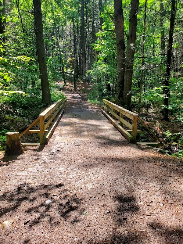 Vaughan Woods State Park grounds