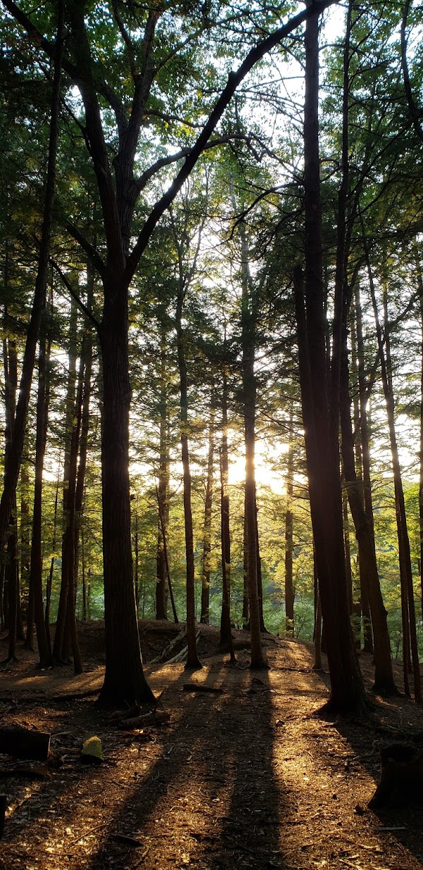 Vaughan Woods State Park grounds