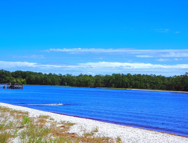 Vereen Memorial Park grounds