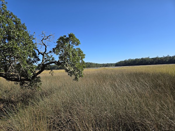 Vereen Memorial Park grounds