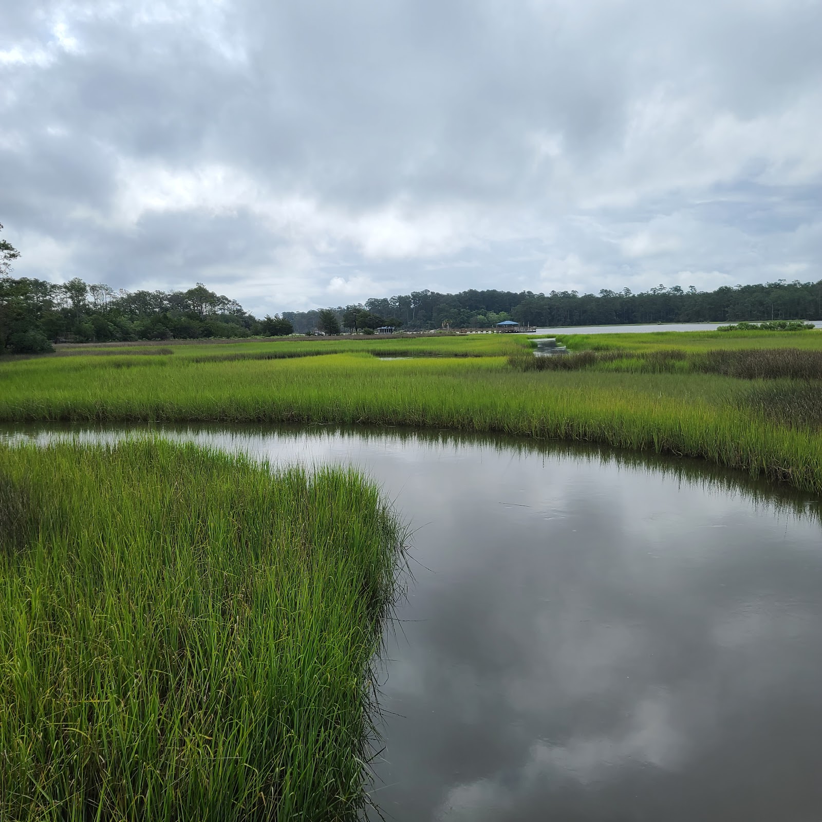 Vereen Memorial Park