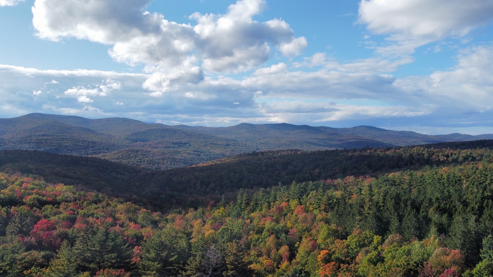 Vermont Forest Cemetery