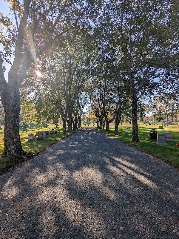 Vernon Grove Cemetery grounds