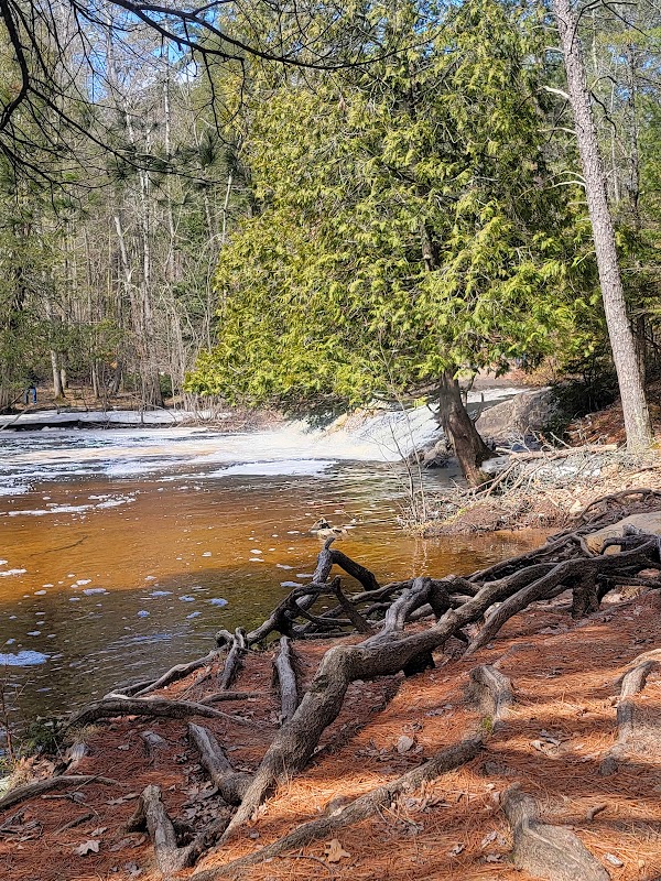 Veteran's Falls grounds