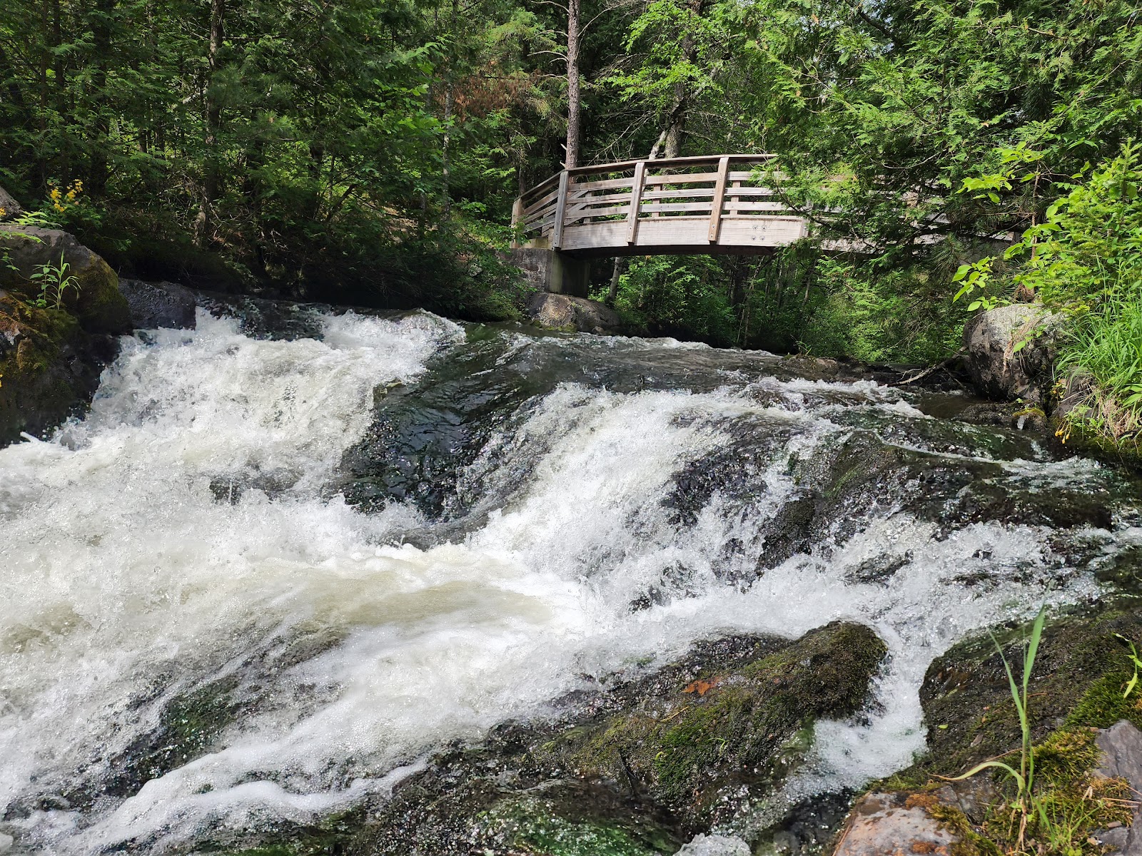 Veteran's Falls cemetery grounds and headstones