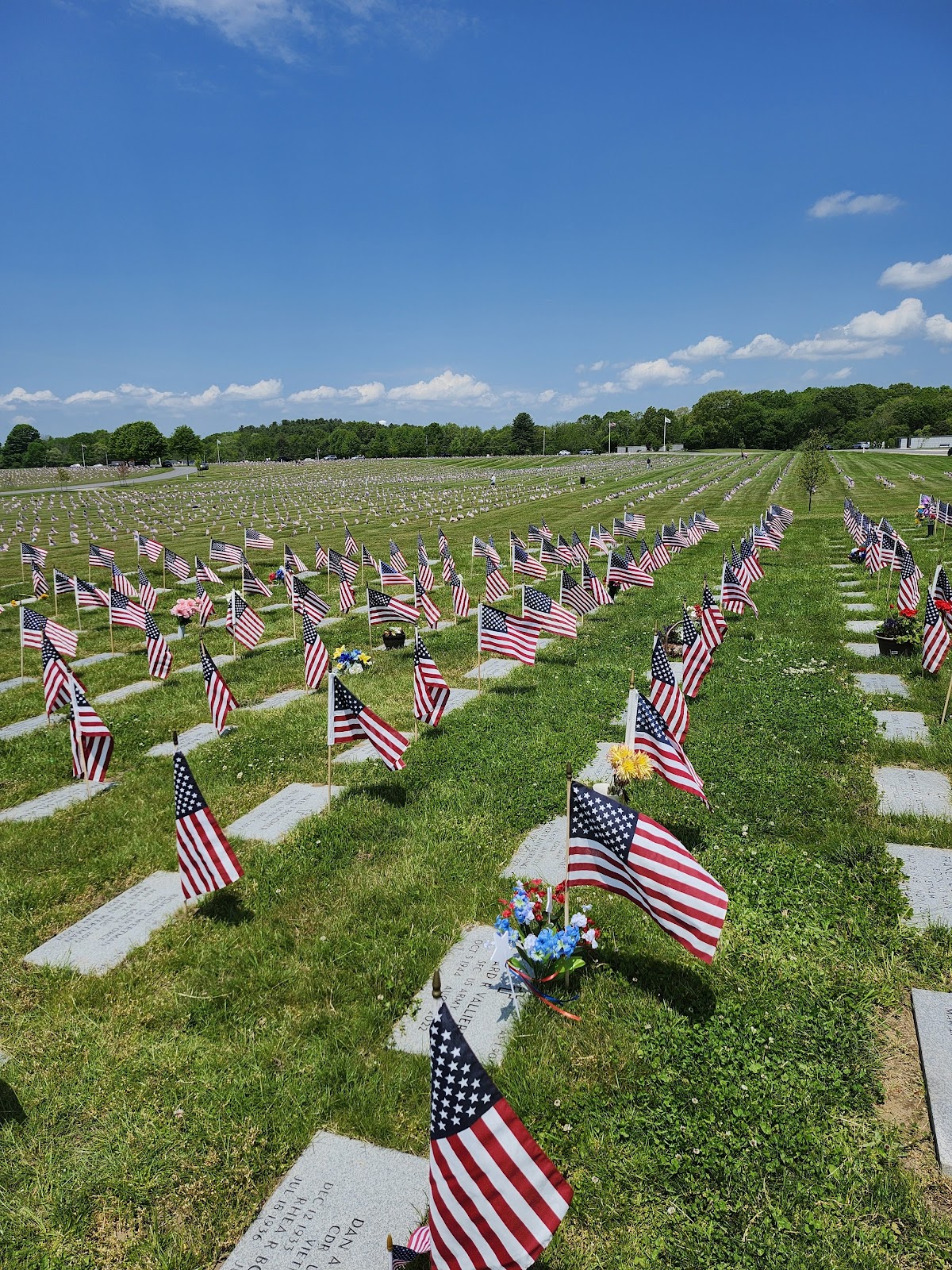 Veterans' Memorial Cemetery cemetery grounds and headstones