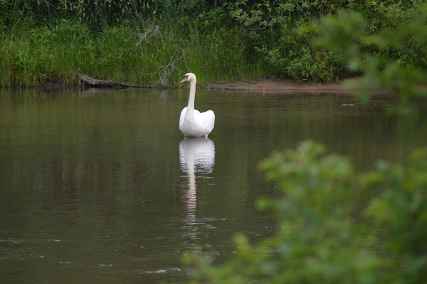 Veterans Memorial Community Park grounds