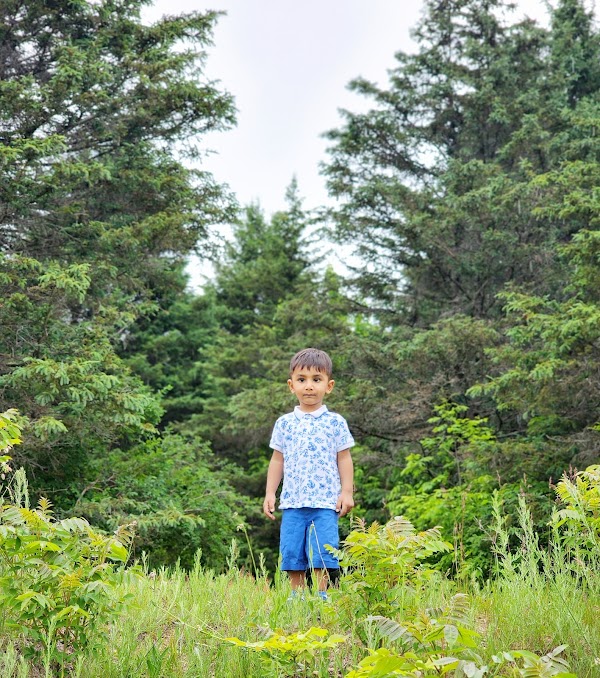 Veterans Memorial Community Park grounds