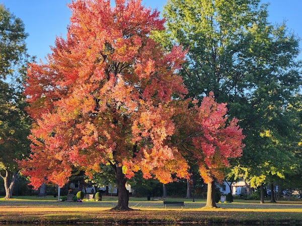 Veterans' Memorial Park and Boulevard grounds