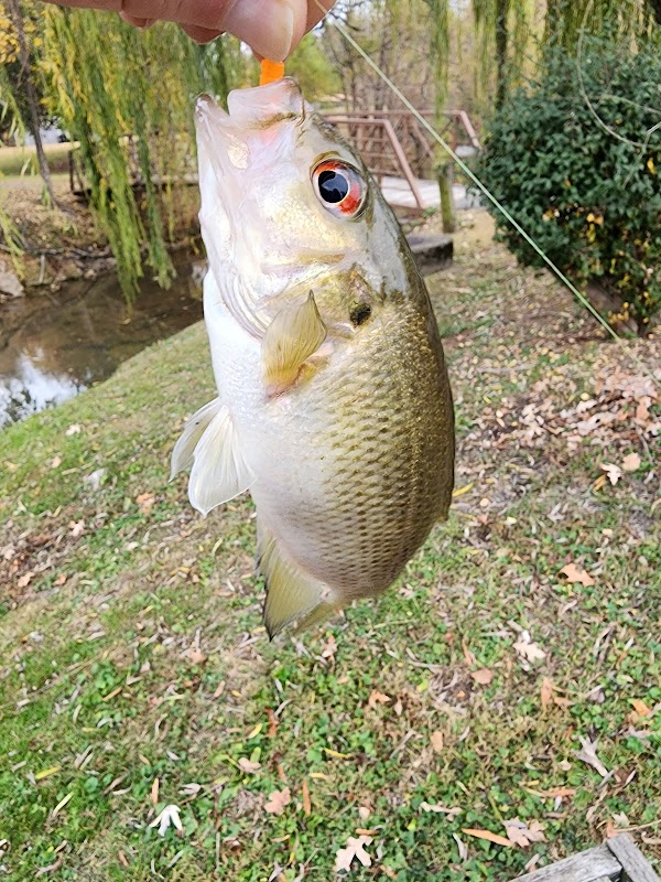 Veterans Memorial Park grounds