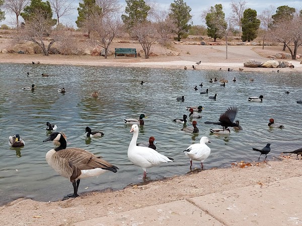 Veterans' Memorial Park grounds