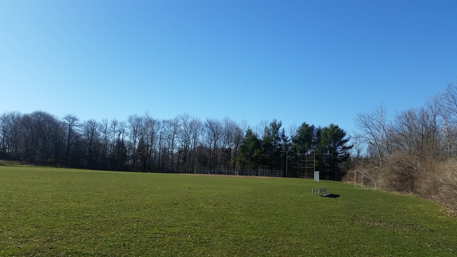 Veterans Memorial Park cemetery grounds and headstones