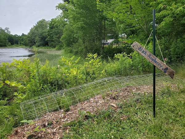 Veterans Memorial Park grounds