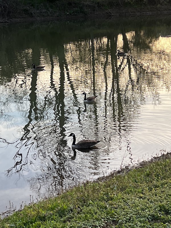Veterans Memorial Park grounds