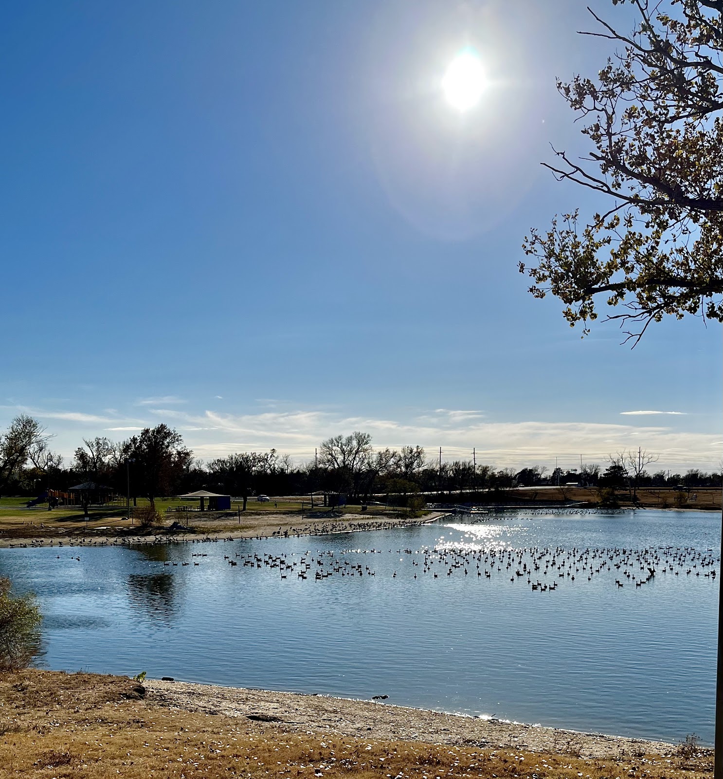 Veterans Memorial Park cemetery grounds and headstones