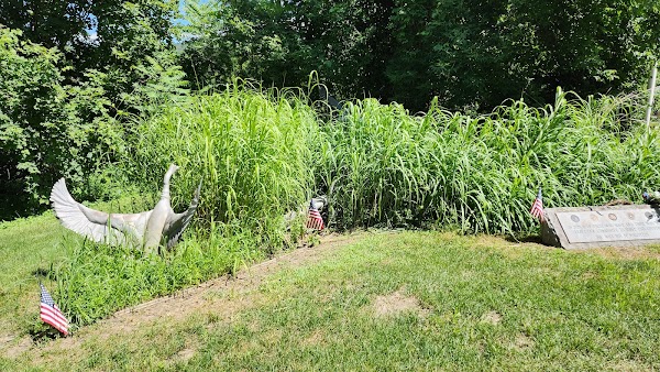 Veterans Memorial Park grounds