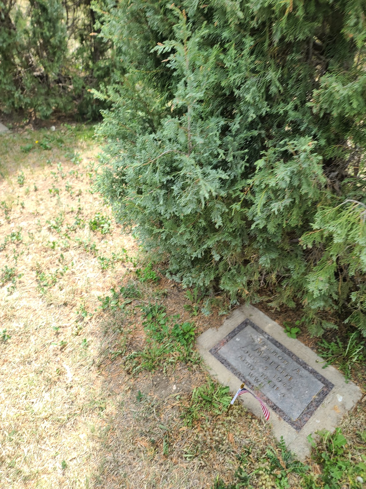 Veteran's Memorial Park cemetery grounds and headstones