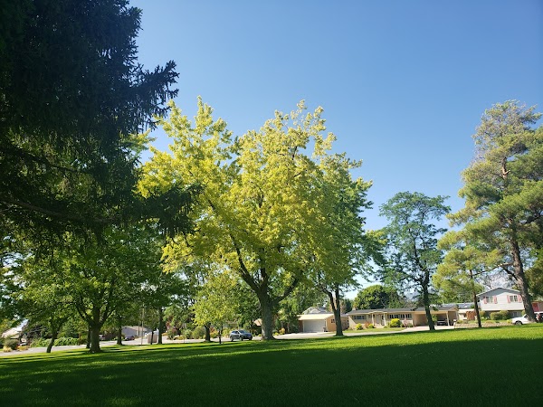 Veterans Memorial Park grounds