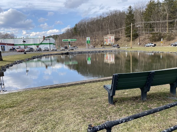 Veterans Memorial Park grounds