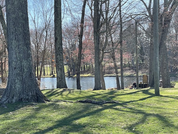 Veterans' Memorial Park grounds