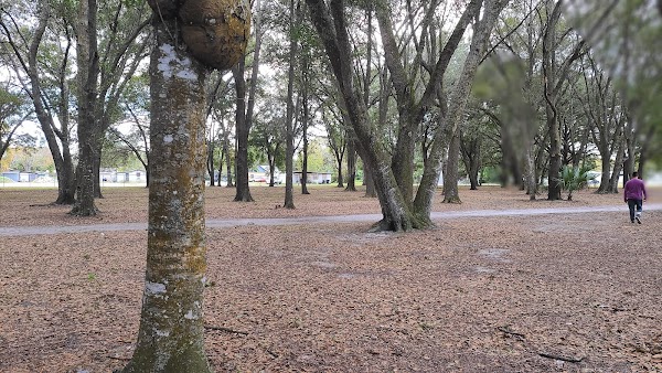 Veterans Memorial Park grounds