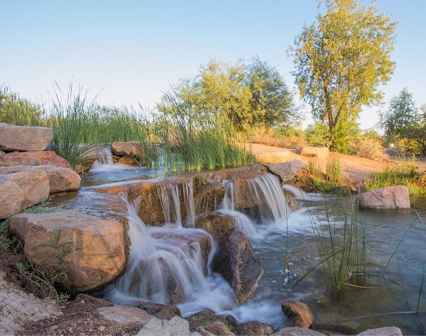 Veterans Oasis Park grounds