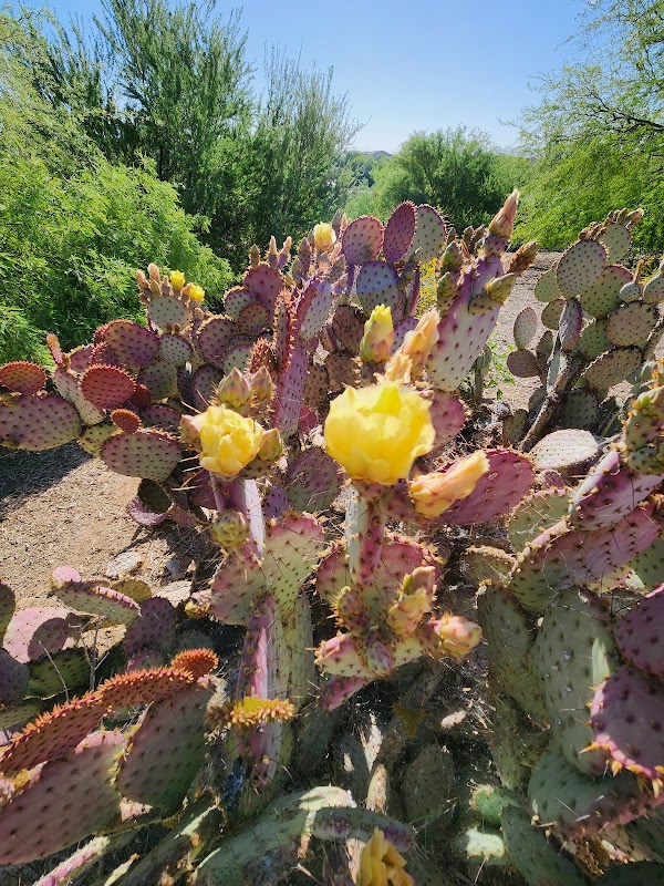 Veterans Oasis Park grounds