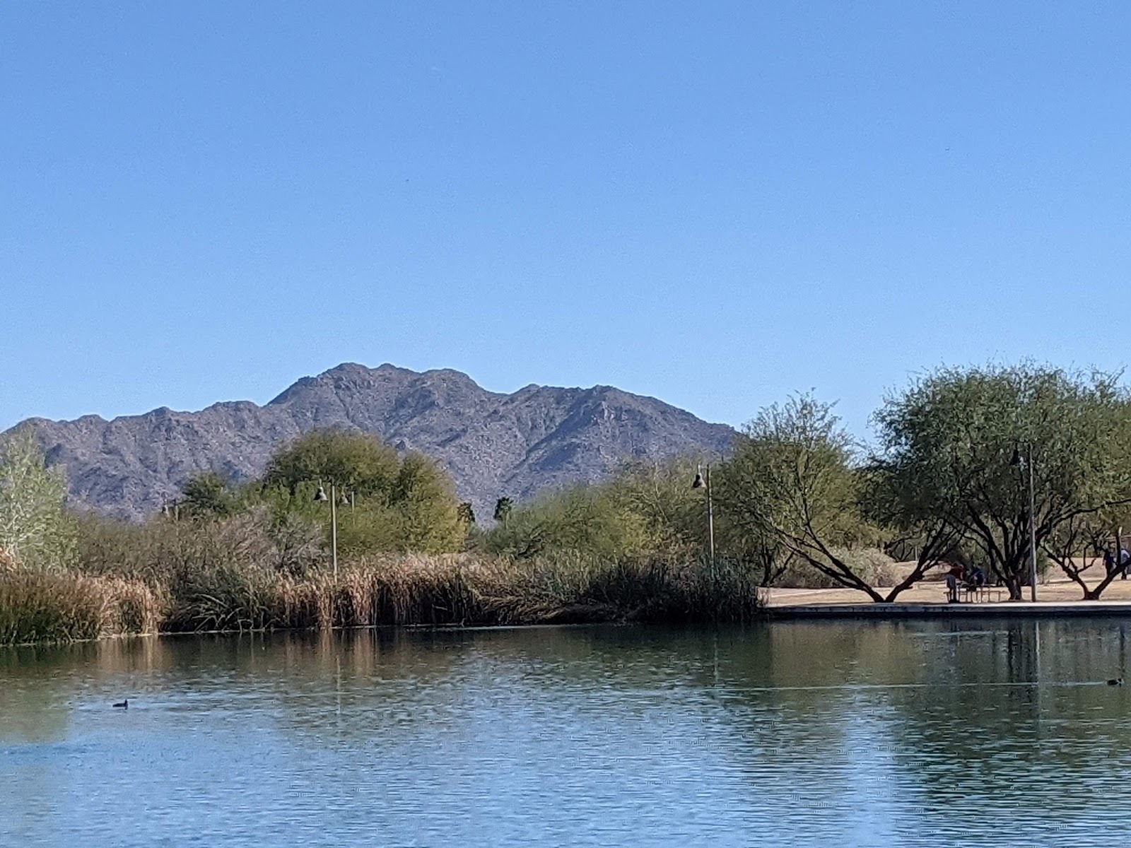 Veterans Oasis Park cemetery grounds and headstones