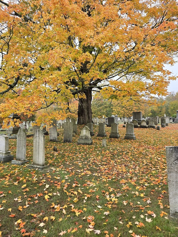 Village Cemetery grounds